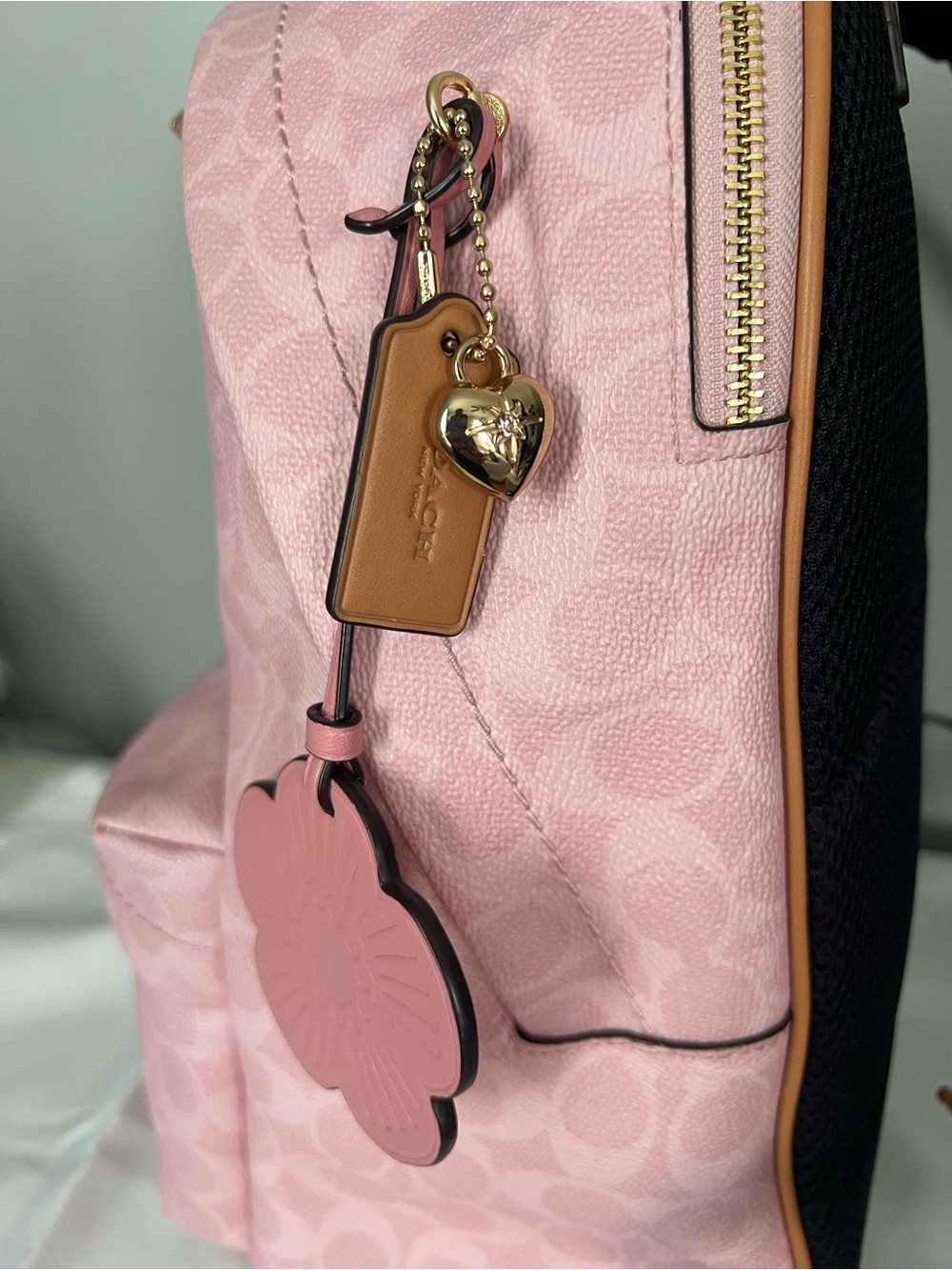 Coach Taylor Backpack In Powder Pink Color - Picture 12 of 13